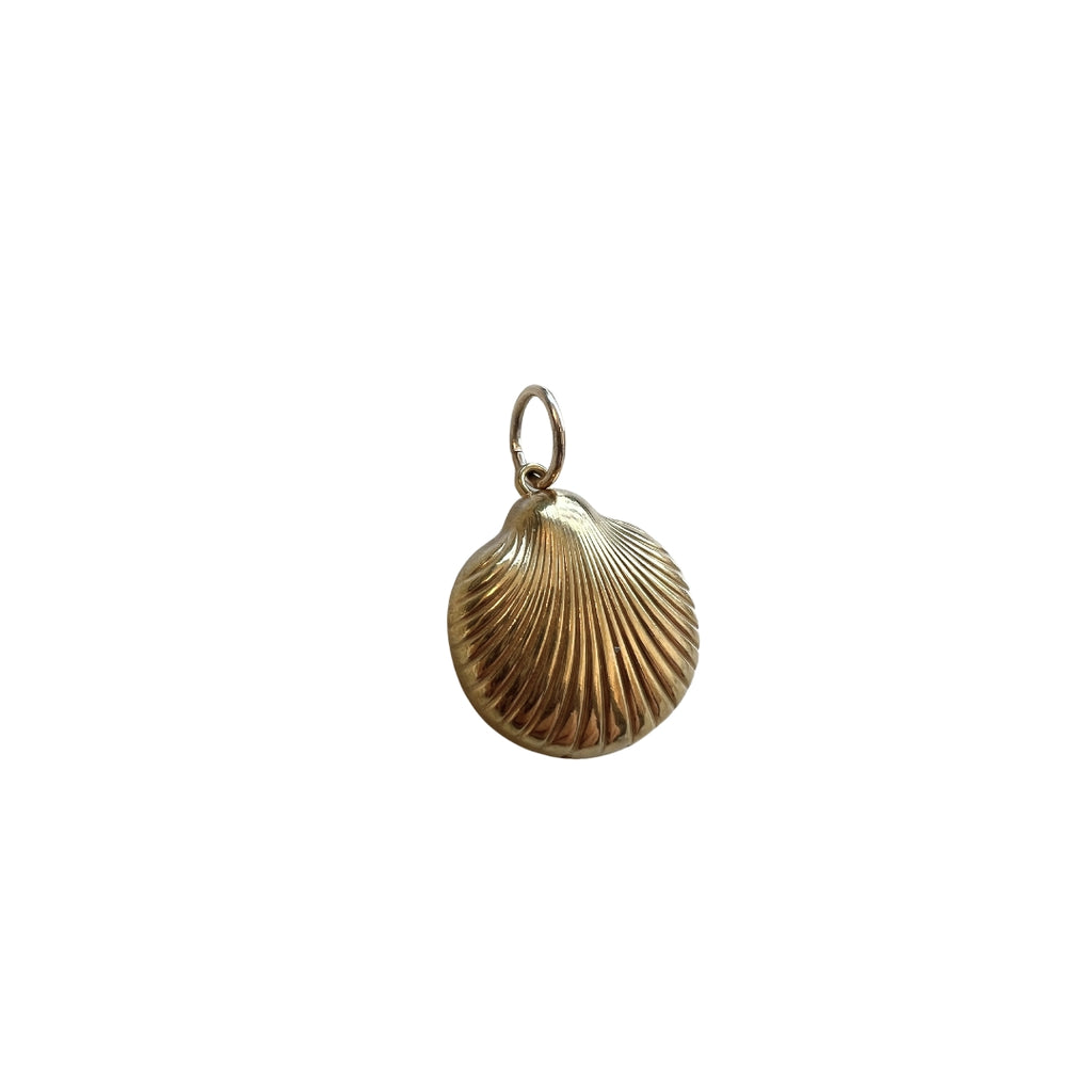 Shell Pendant